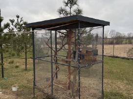 Kokybiškas narvas voverėms