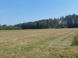 Žemės sklypas
