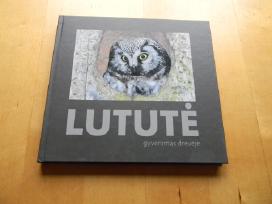 Knyga apie lutute