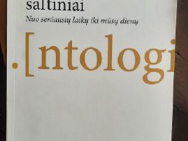 Dailės istorijos šaltiniai,dailėtyra,intensyvumai