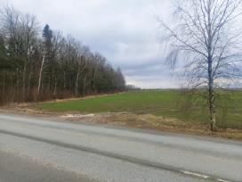 1 hektaras- 7500€