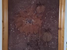 A. Stasiūnaitė - Pečiūrienė. Aguonos