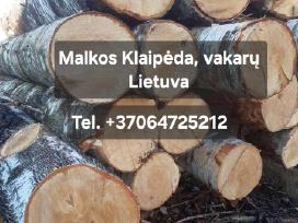 Malkos beržo ąžuolo mišrios Klaipėdoje