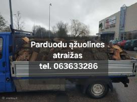 Malkos atraižos sausos Kaunekėdainiai, Jonava