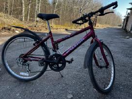 Vaikiškas dviratis Raleigh