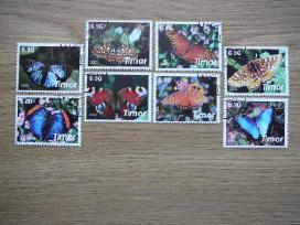 Drugeliai Timoras 2003 antsp. tmr16