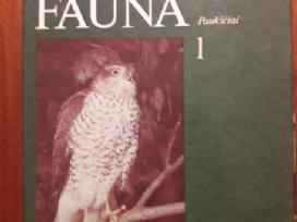 554. Lietuvos Fauna. Kn. 1: Paukščiai