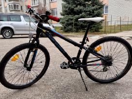 Orbea Mx24 Dirt