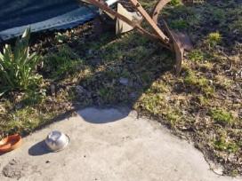 Arklinis plugas