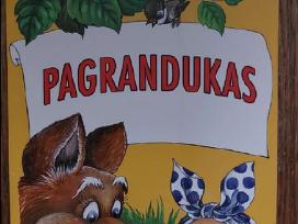 Knygutė su nuostabiais paveikslėliais