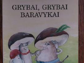 Knygutė su nuostabiais paveikslėliais