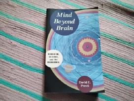 Mind Beyond Brain: Buddhism, Science, and the Para