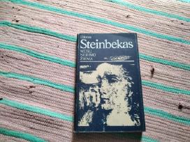 Mūsų nerimo žiema John Steinbeck