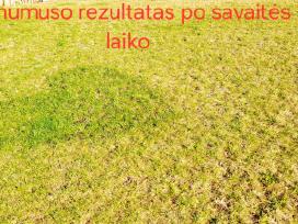 Akcija perkant 100l ir daugiau -10% nuolaida