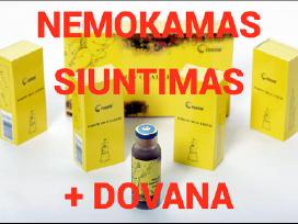 Fohow kordicepsas ir Zinzino. Nemokamas siuntimas