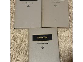 Emilis Zola. Paryžiaus pilvas. Rugonų karjera. Aba