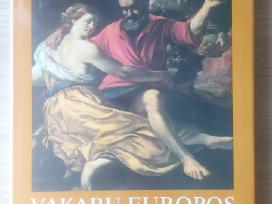 Vakarų Europos tapyba