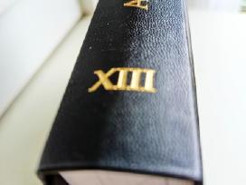 A.maceina Raštai XIII