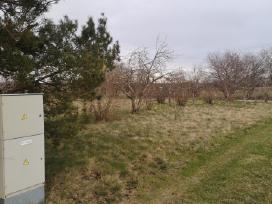 Parduodu 5 sodus Macikų km.