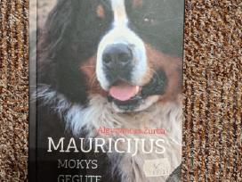 Mauricijus mokys gegutę perėti