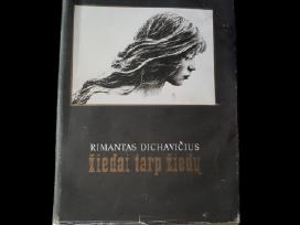 Rimantas Dichavičius Žiedai tarp Žiedų