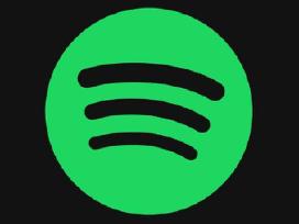 Spotify Premium (12 mėn tik 55€), su Loseless