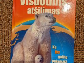 Visuotinis atšilimas. Ką jūs galite pakeisti?