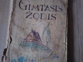 Gintasis zodis