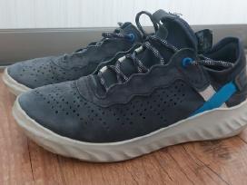 Ecco batai 37