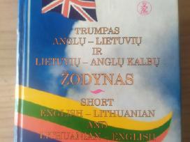 L. Zabulienė Trumpas anglų-lietuvių kalbų žodynas