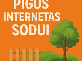 Mobilus internetas neterminuota sutartis 10,50 eur