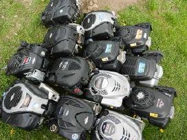Varikliai žoliapjovėms Briggs & Stratton