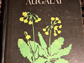 Knyga vaistiniai augalai