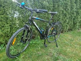 Hibridinis Giant Roam 3