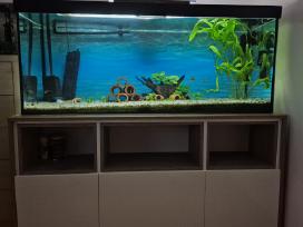 Parduodamas akvariumas