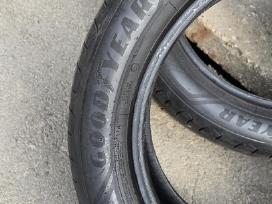 Goodyear padangos vasarinės R 19