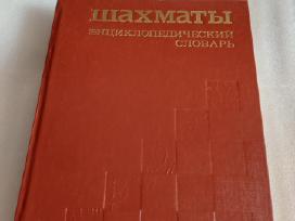 Шахматы. Энциклопедический словарь