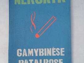 Įspėjamieji plakatai