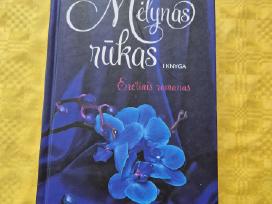 Alicia Gutje "Mėlynasis rūkas"