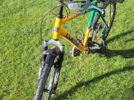MTB dviratis Classic Legend 26"