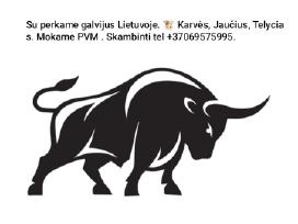 Galviju supirkimas