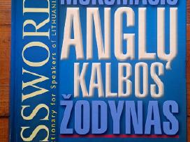 Mokomasis anglų kalbos žodynas Password