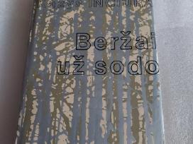 Beržai už sodo