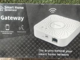 Gateway del Zigbee Tuya irenginiu
