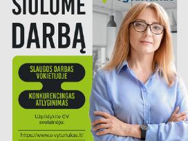 Slaugos darbai Vokietijoje
