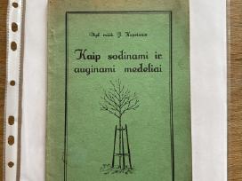 Kaip sodinami ir auginami medeliai 1931 m.