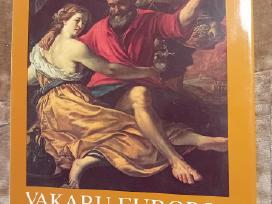 Albumas "Vakarų Europos tapyba"