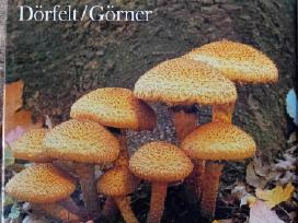 Albumas apie grybus "Die Welt der Pilze"