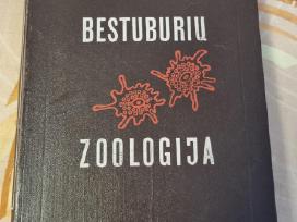 Bestuburių zoologija