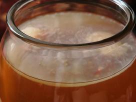 Arbatos grybas – Kombucha.